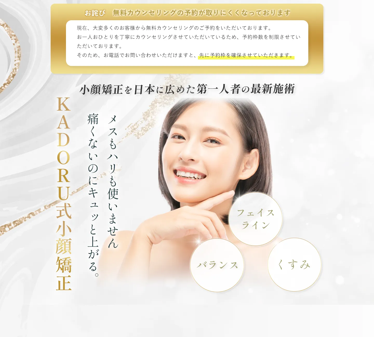 FV画像